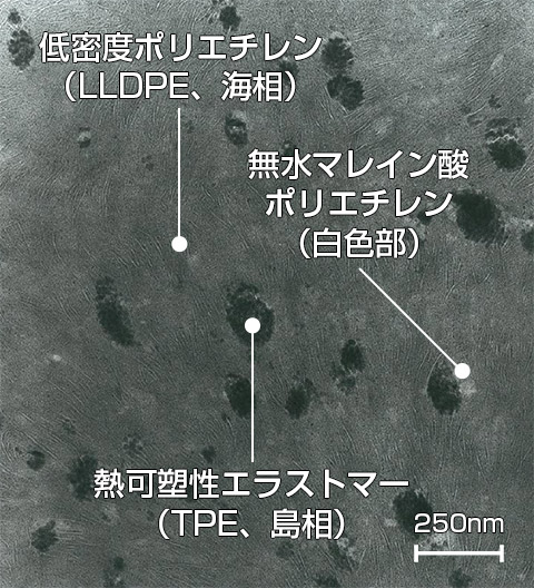 NTAC-3Gを透過型電子顕微鏡で見ると灰色の低密度ポリエチレン（LLDPE）の海に黒色の熱可塑性エラストマー（TPE）が島を作っているように見えます。白色をした無水マレイン酸ポリエチレンがこれらを繋ぐようにして間にあります。